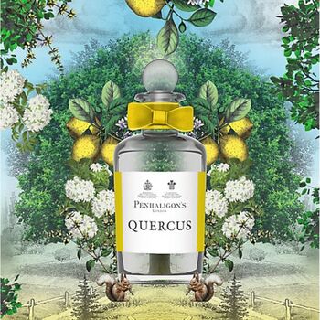 Quercus EDC 
